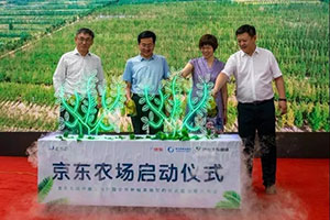完美体育在线登录入口